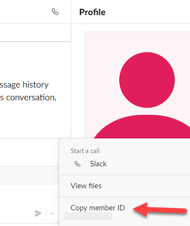 screenshot of slack with the "More ..." menu in profile sidebar expanded